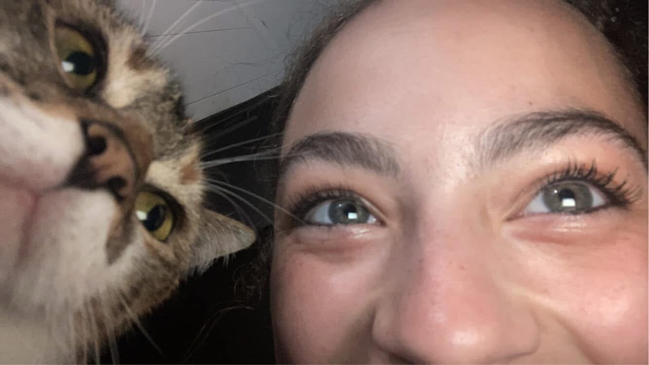Cat photobomb close-up